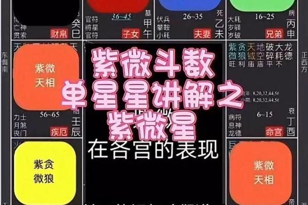 如何通过紫薇斗数看学业