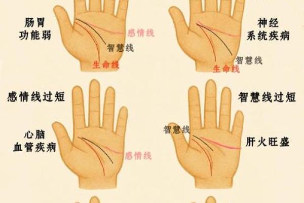 手相算命：健康