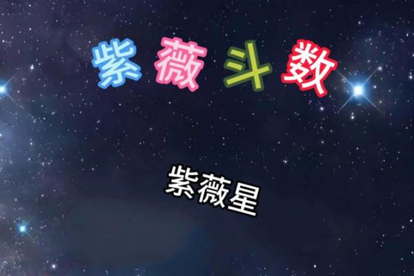 紫薇斗数事业运