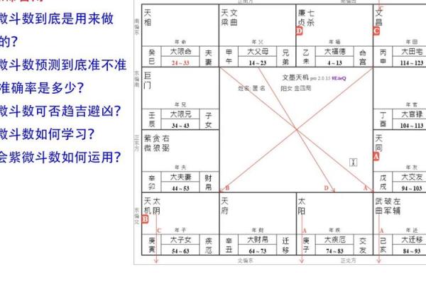 紫微斗数司法 紫微斗数怎么看官司？