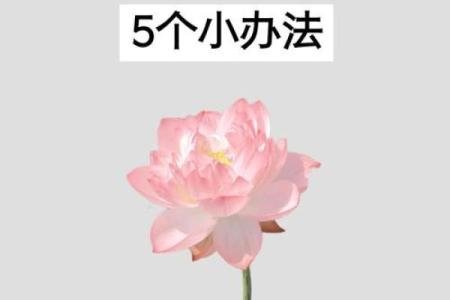 做生意的破财风水，看你有没有