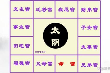 紫薇斗数的太阴