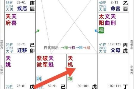 紫薇斗数解密pdf