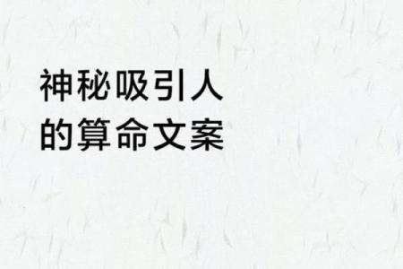 引导人学算命