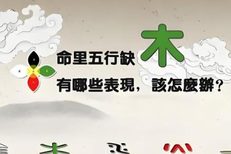 八字缺木土多从事什么行业好