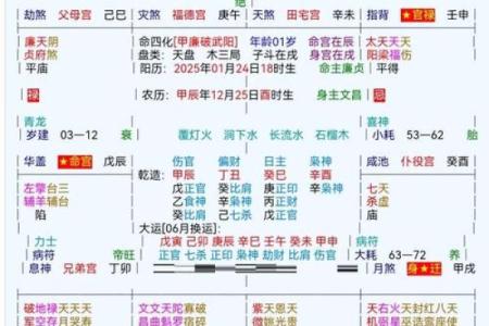 紫薇斗数算命准不准