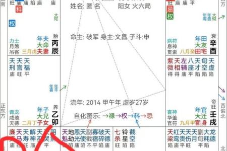 紫薇斗数怎么看财运