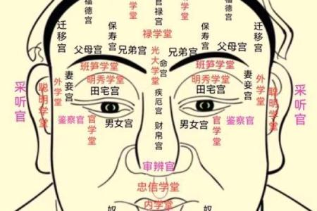 紫微斗数诸星落诸宫之：天相星财帛宫详解