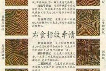 看斗算命，准不准看了便知！