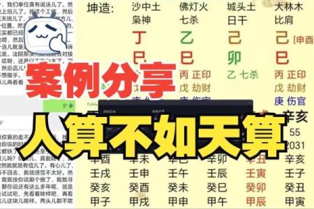 算八字准不准