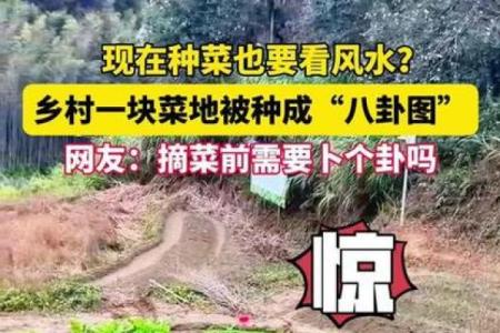 新房子前面种菜可以吗风水