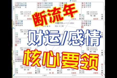 流年买车紫薇斗数