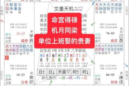 紫薇斗数真人算命