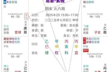 紫薇斗数紫薇入命宫
