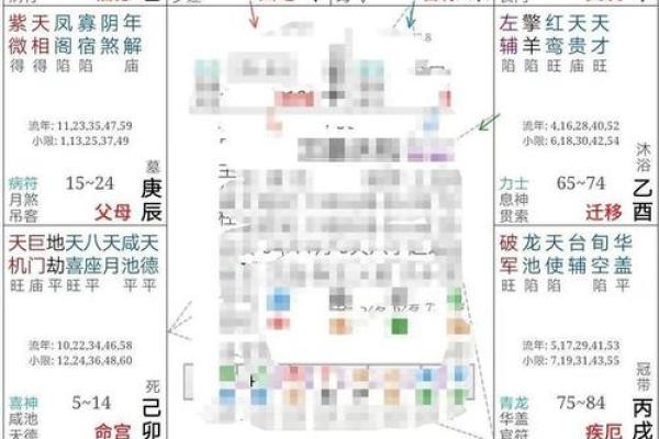 紫微斗数排盘
