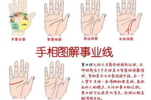 手相算命总论 手相算命大揭秘