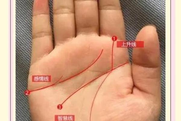 手相算命总论 手相算命大揭秘