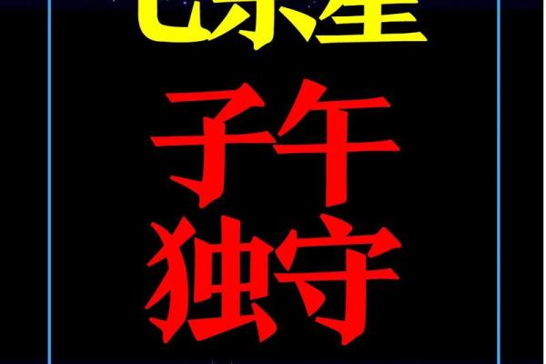 紫薇斗数金星