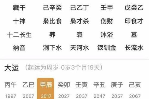 八字地支土多的解析及它们的特点