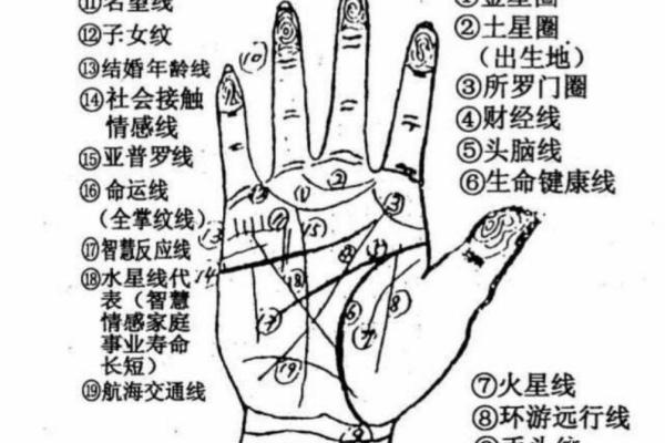 看手纹测命运图解 手相学图解算命大全
