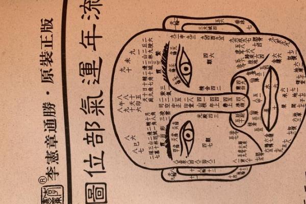 看头发面相知道运势 面相头发算命
