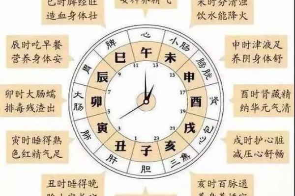 出生年月日时辰算命：生年各人命运如何