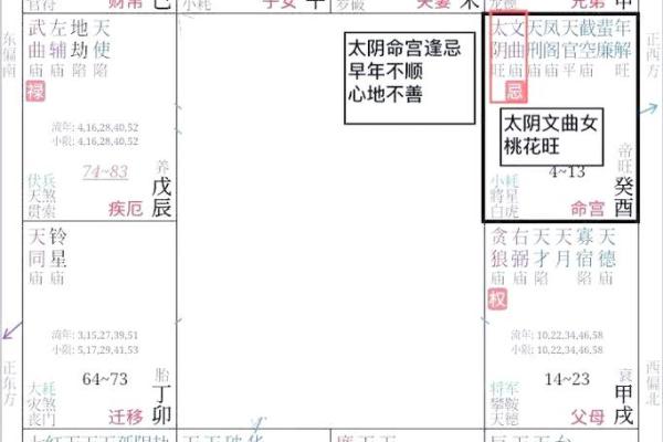 紫薇斗数不成命格