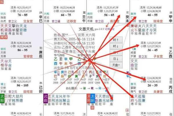 什么是紫微斗数？
