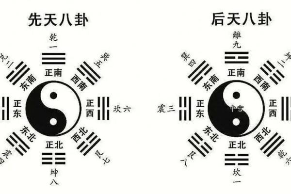 商业：办公养花风水与五行八卦
