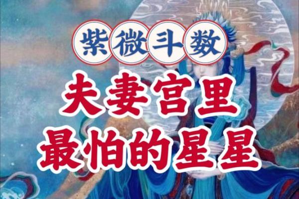 紫微斗数夫妻宫在亥无主星 加桃花主配偶有艺术才能