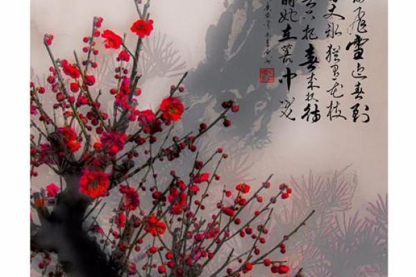 梅花风水_我秀了一副两米多的霜雪梅花图按风水是挂在西墙上好还是东墙上好