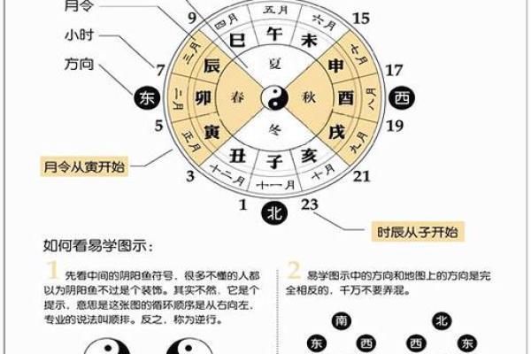 算命扎根是什么
