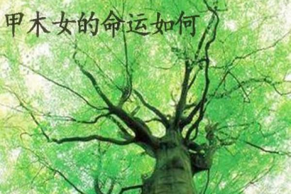 济缘算命：嘴唇揭示命运的密码