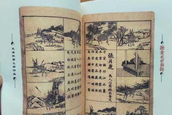 简单易懂的三世演禽算命法了解