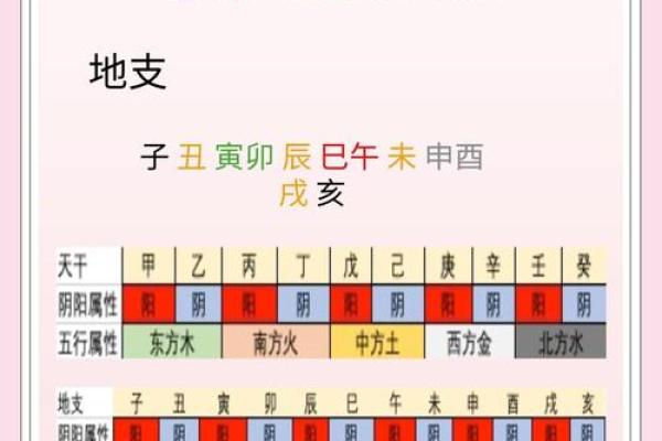 八字基础，干支阴阳差异