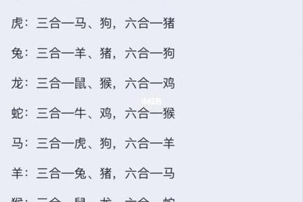 八字算命生肖六合是什么意思