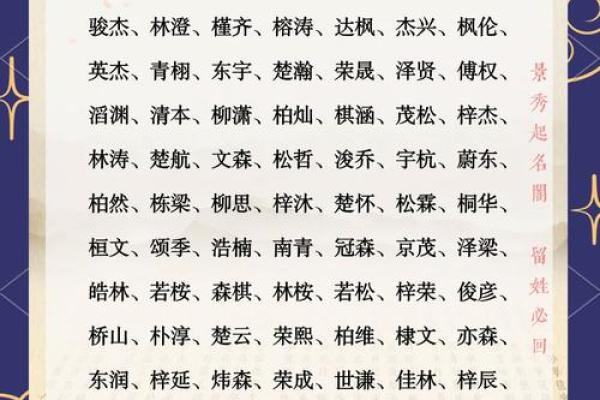 八字取名大全：以木水八字为中心的实用取名指南
