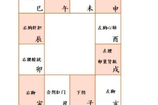 怎样研究紫薇斗数