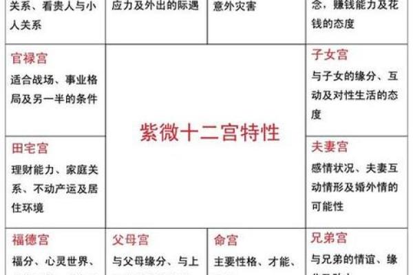 紫薇斗数紫薇星在身宫
