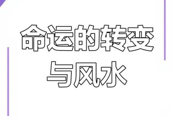 命 运 风水