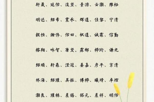 周易起名网免费起名,周易生辰八字起名免费取名
