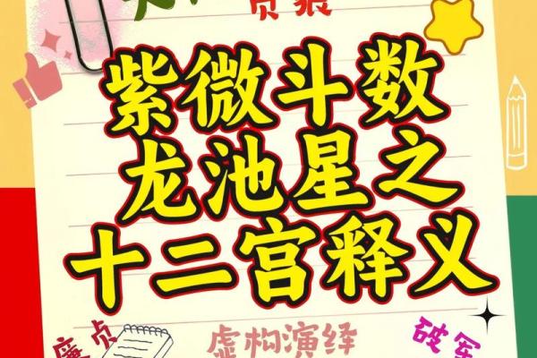 免费查紫薇星盘入宫是什么意思