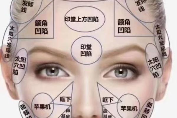 颧骨面相算命