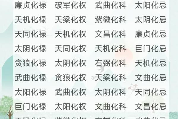 紫薇斗数大太极