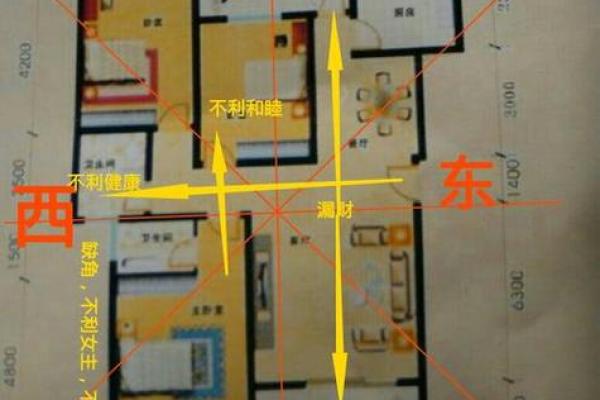 政府官员如何进行风水设计和布局