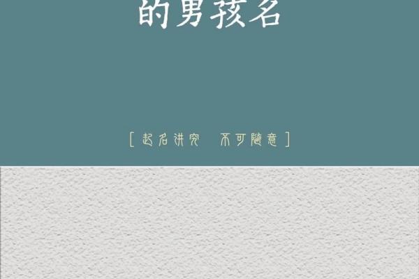 2019年3月25号巳时出生的男孩起名方法姓名
