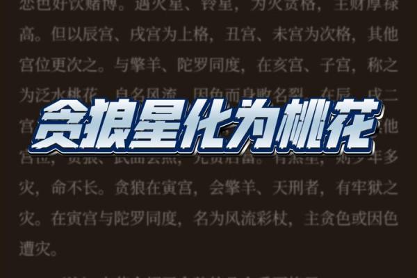 紫薇斗数贪狼星性