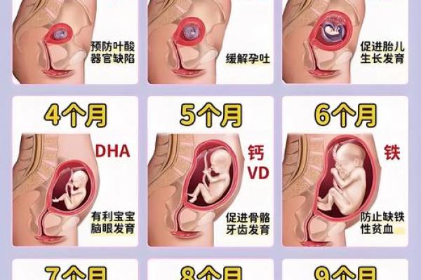 孕妇能算命吗