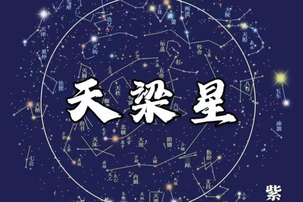 紫薇斗数天贵人