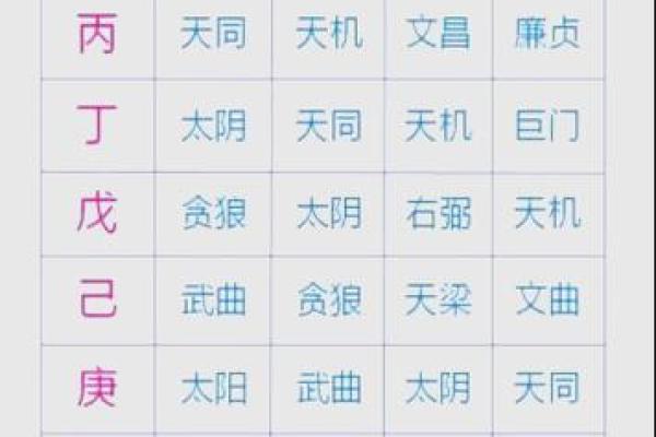 紫微斗数之基本术语